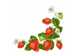 卡通草莓花朵背景