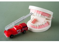 牙齿模型和消防车