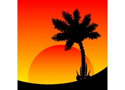椰树与太阳