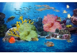 珊瑚海鱼背景墙