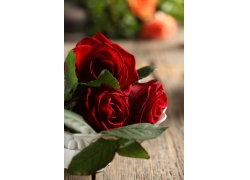 地板红玫瑰花