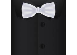 Realistic bow tie and black shirt vector illustration 4