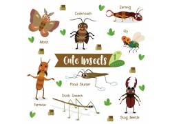 卡通可爱小昆虫