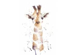 绘画长颈鹿摄影